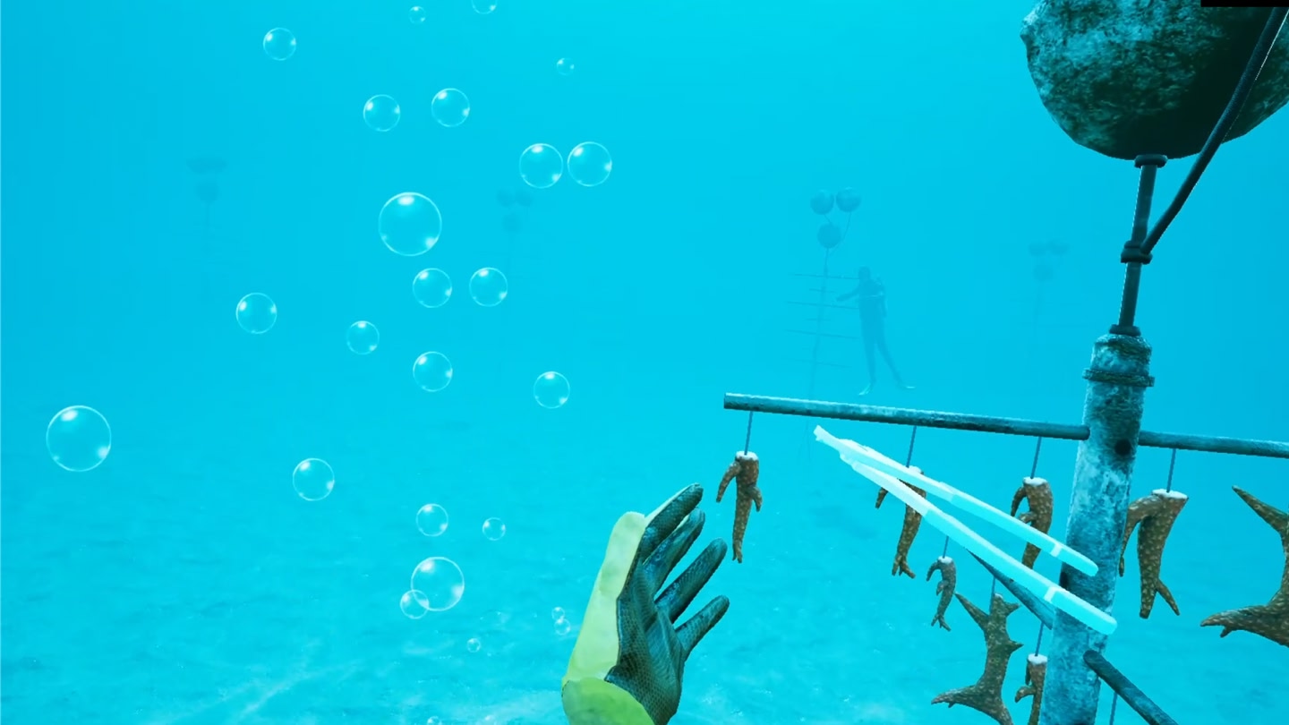 #6. How to Rescue a Reef LITE (Meta) 由: Rescue a Reef program